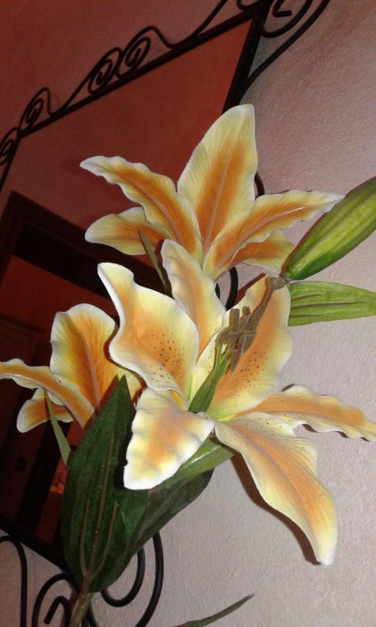 Il Giglio D'Oro Bed and Breakfast Arezzo Exteriör bild
